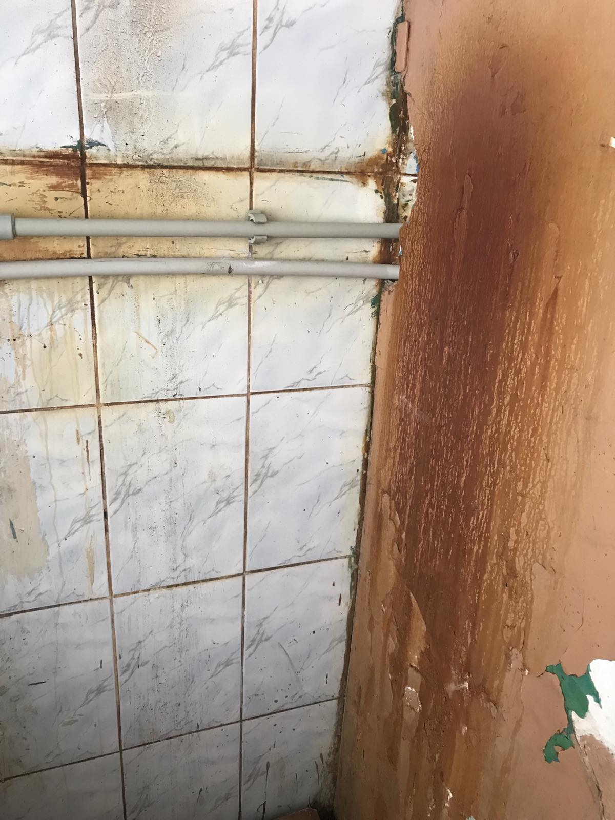 До проекту/Before the Project