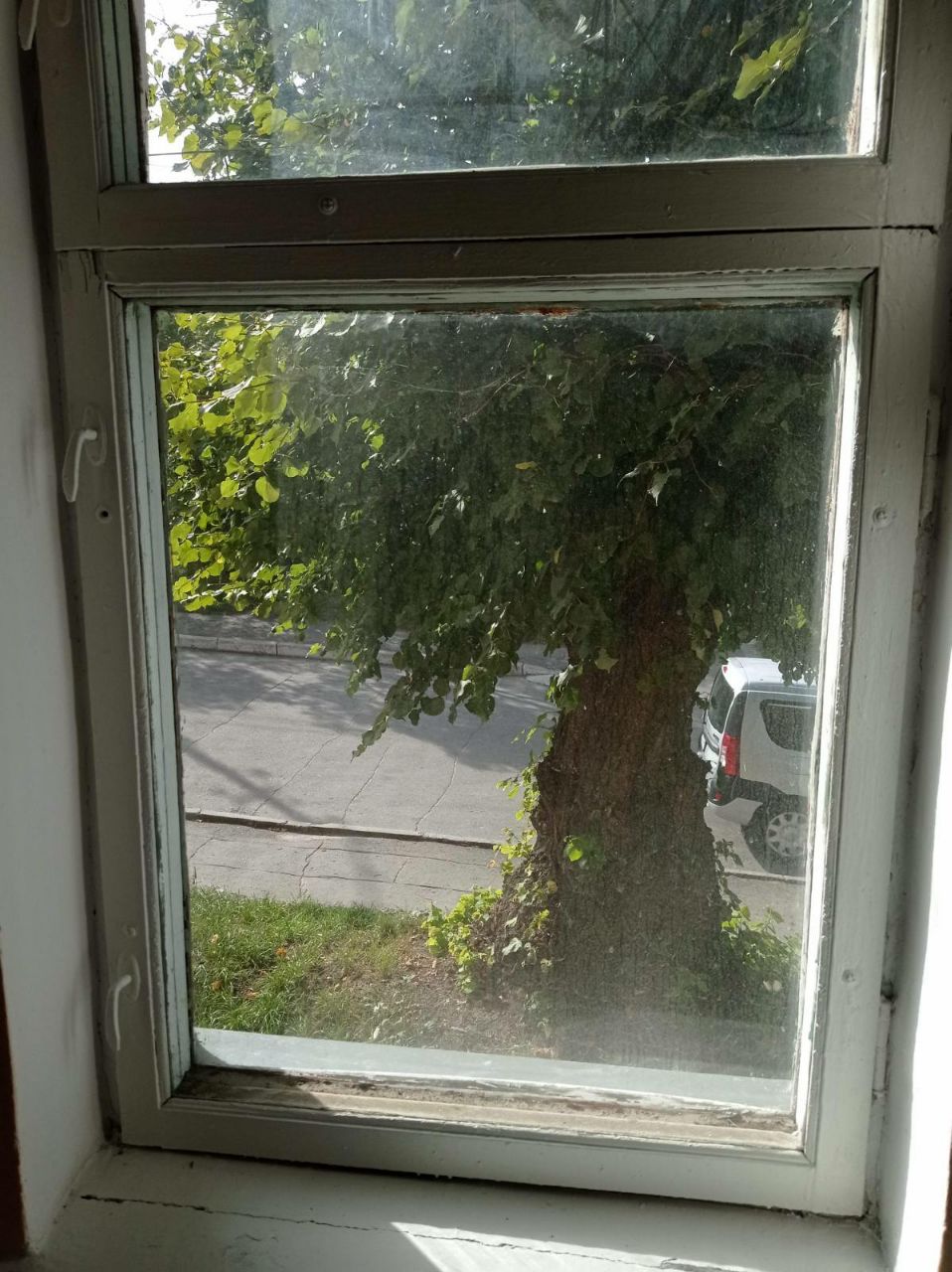 Фото До/Photos Before