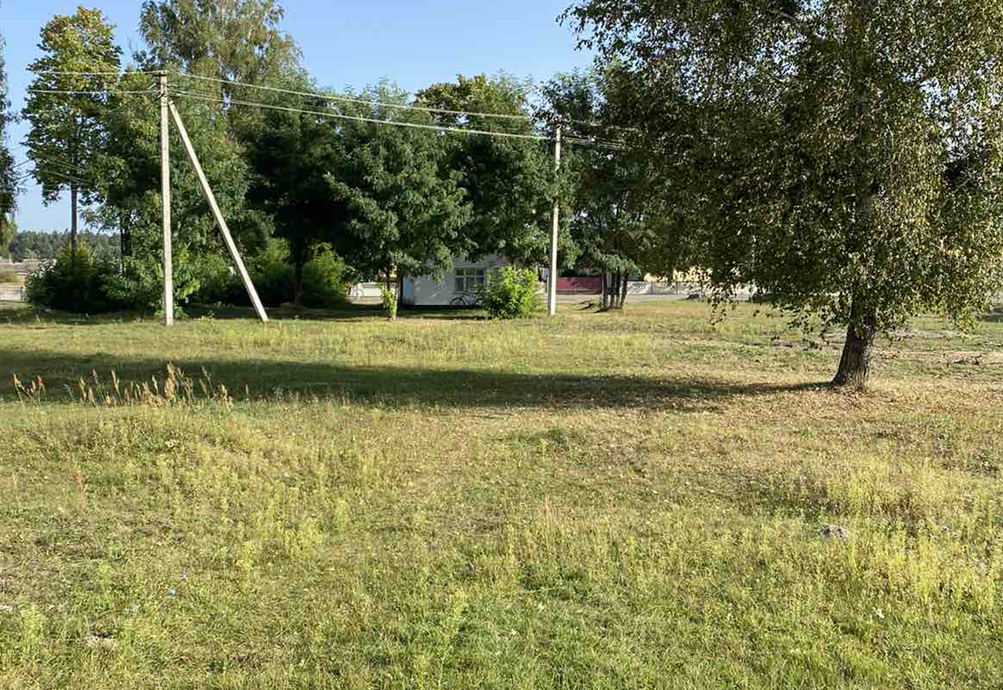 Before/choosing a location for the park